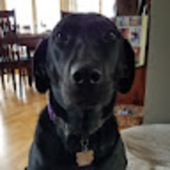 Meet your Posher, Jake - Picture 1 of 1